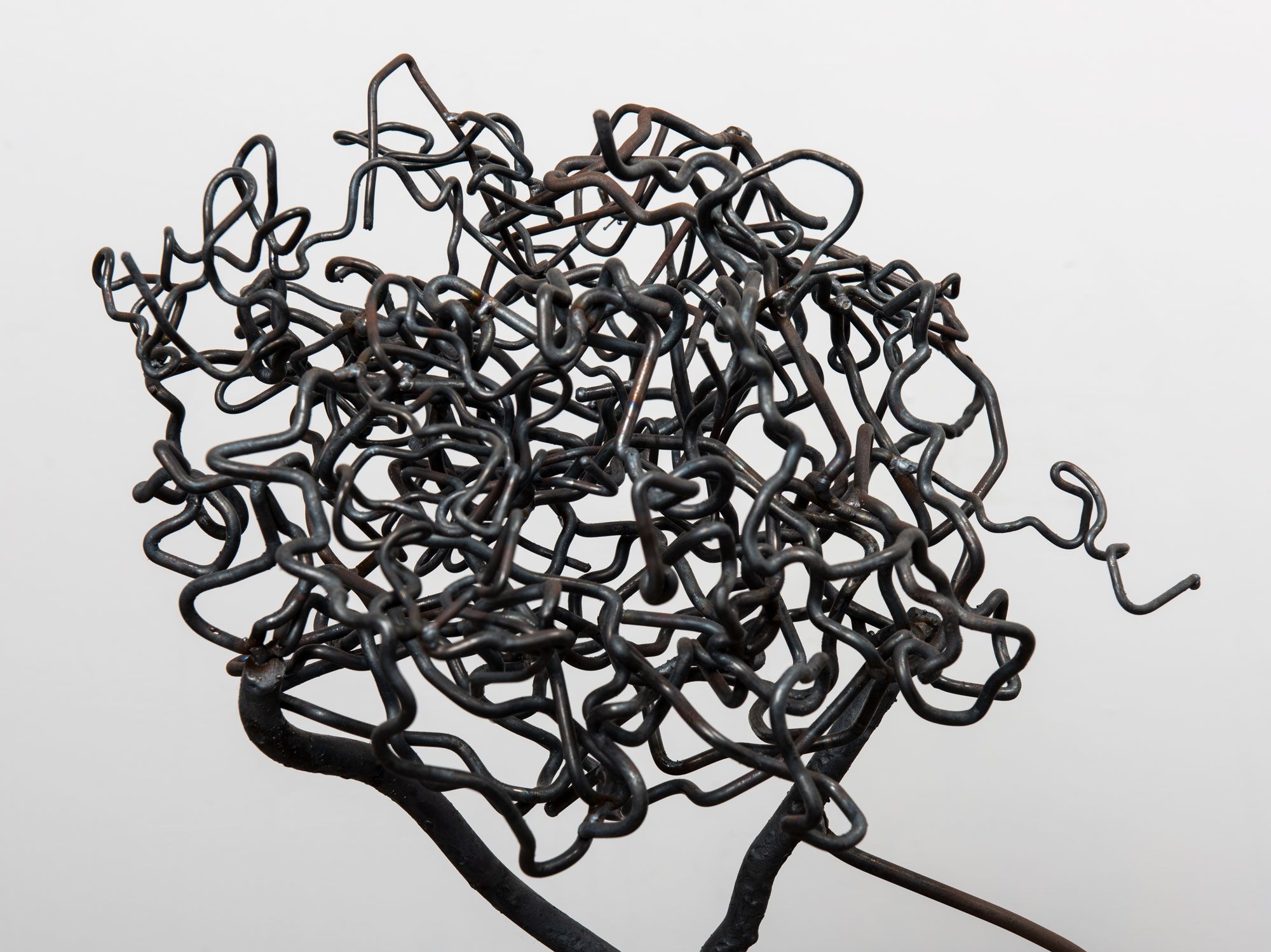 Beatriz Cortez, Roots 1, detail