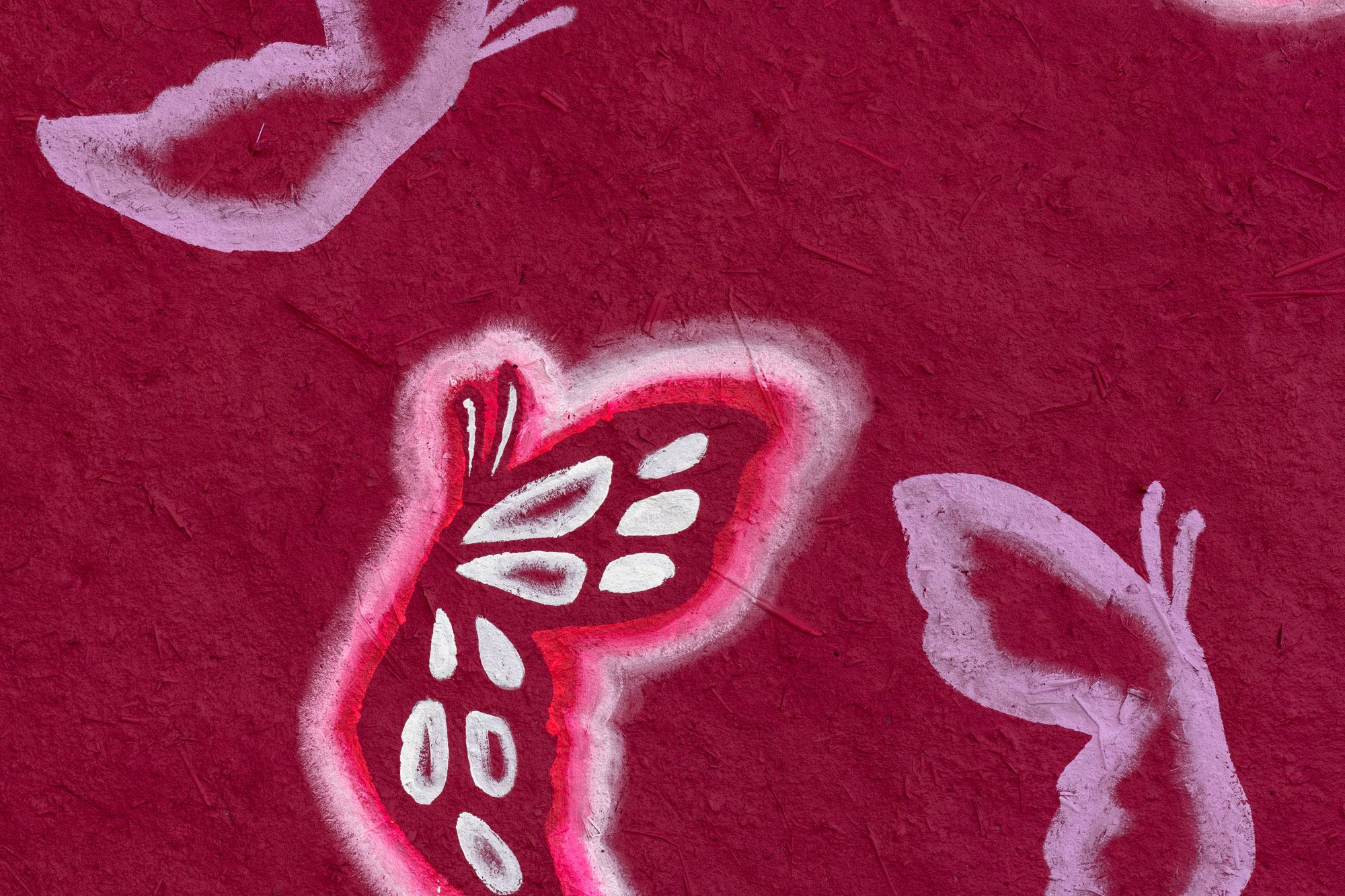 metamorphosis, detail