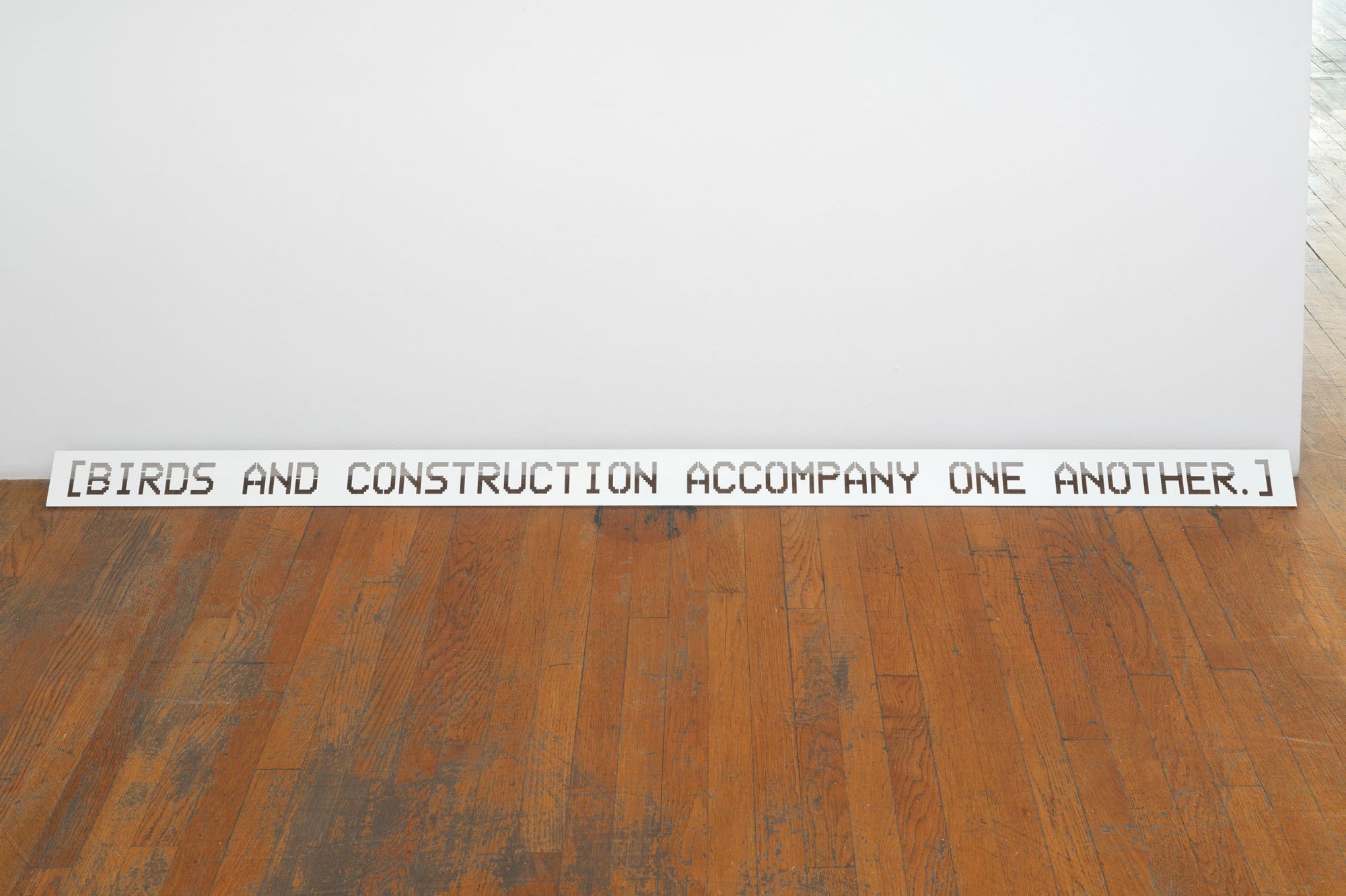 Sound Segregations — Birds and Construction