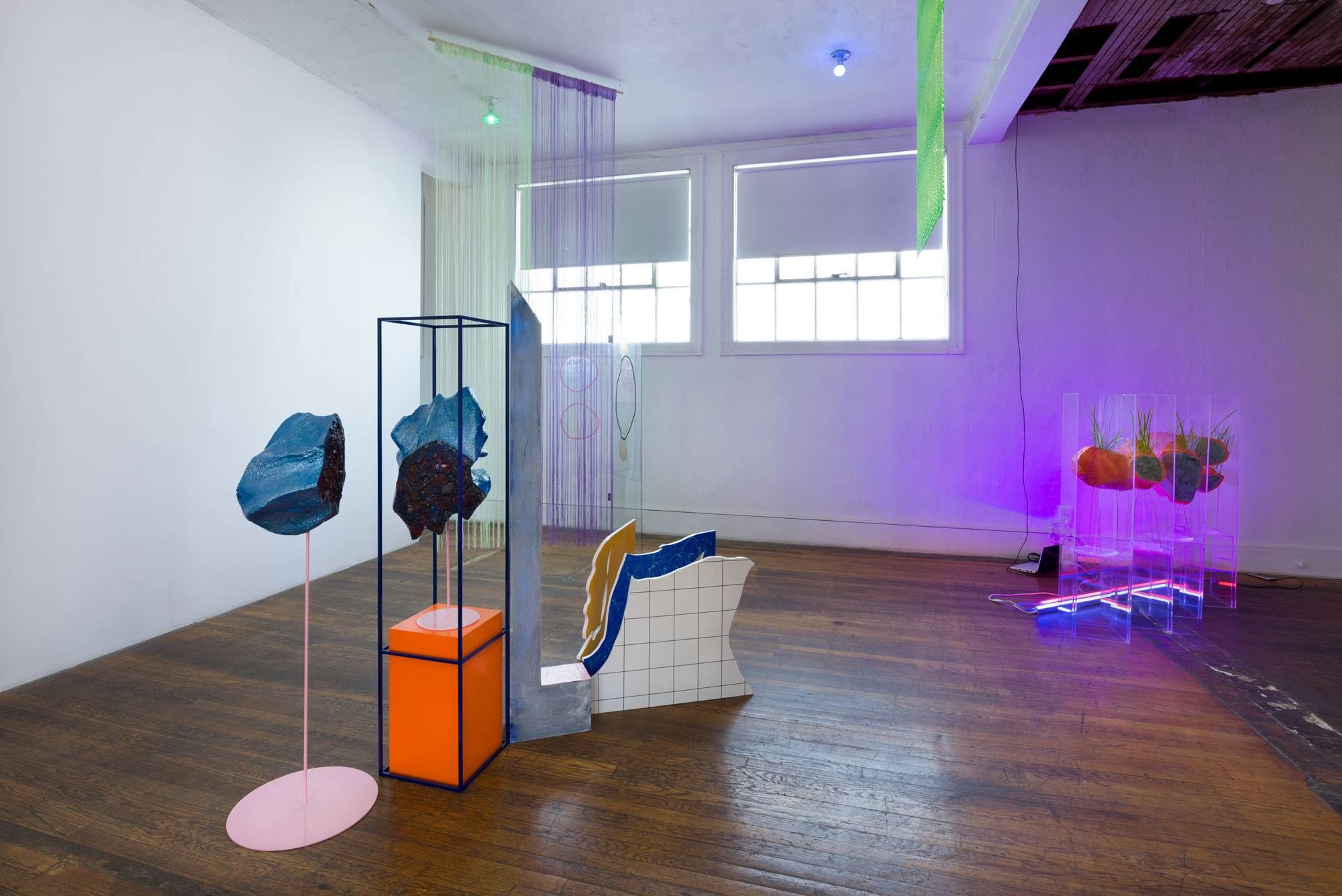 Installation view