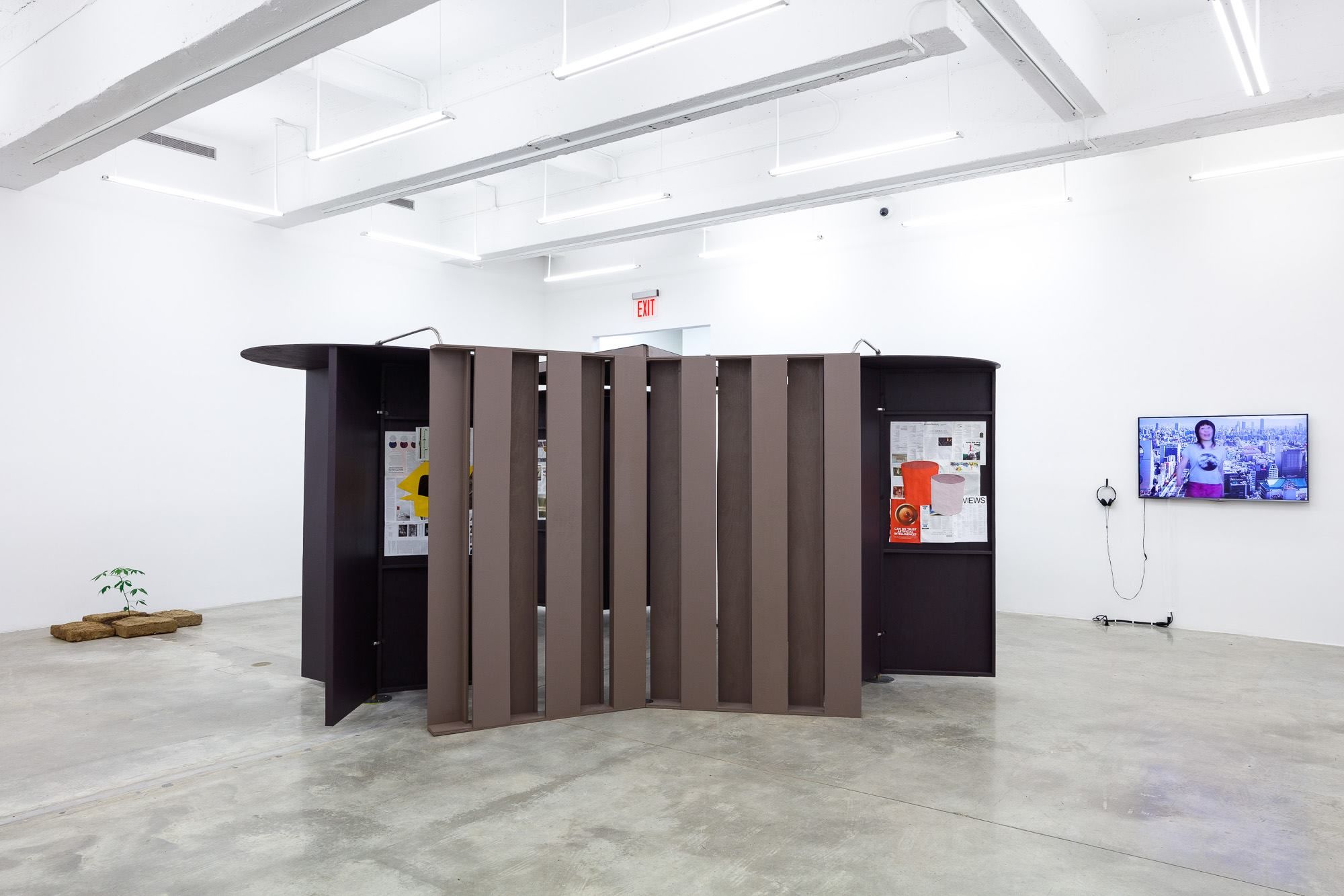 Installation view