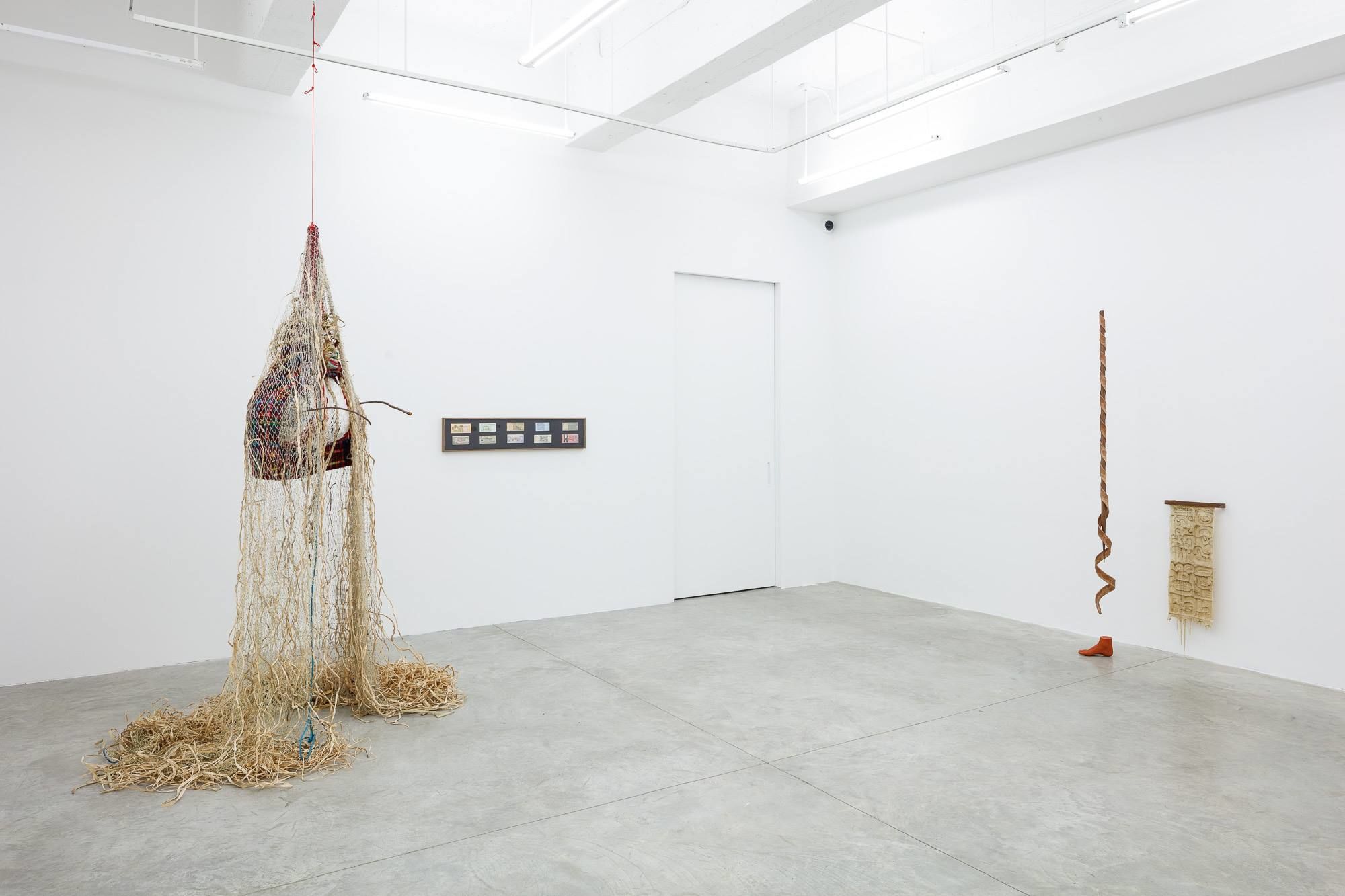 Installation view