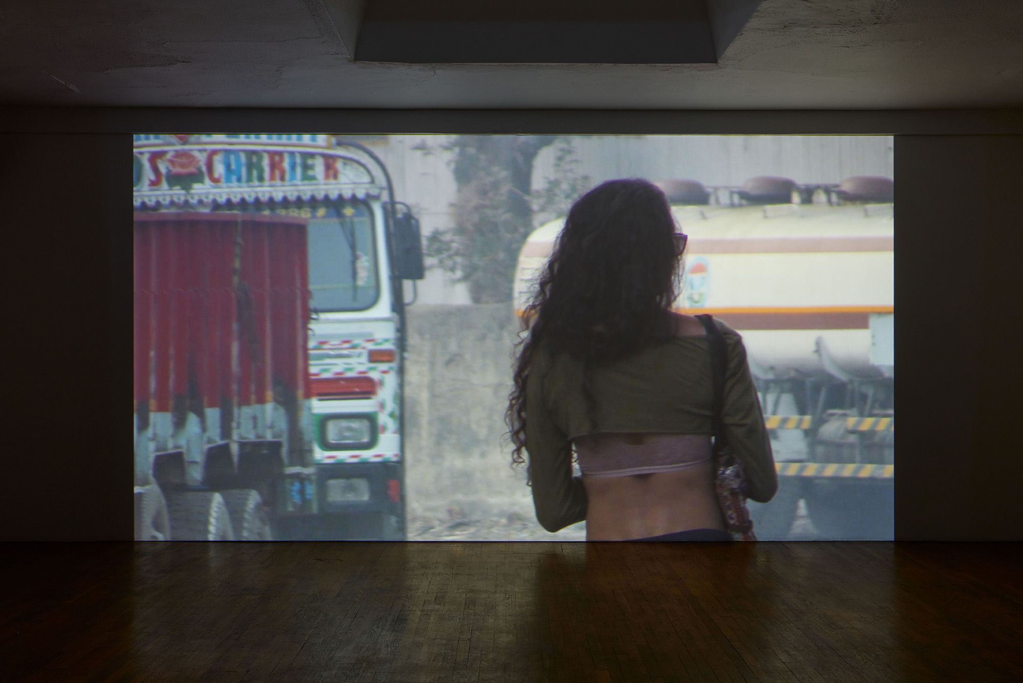 Video still of Does Your House Have Lions