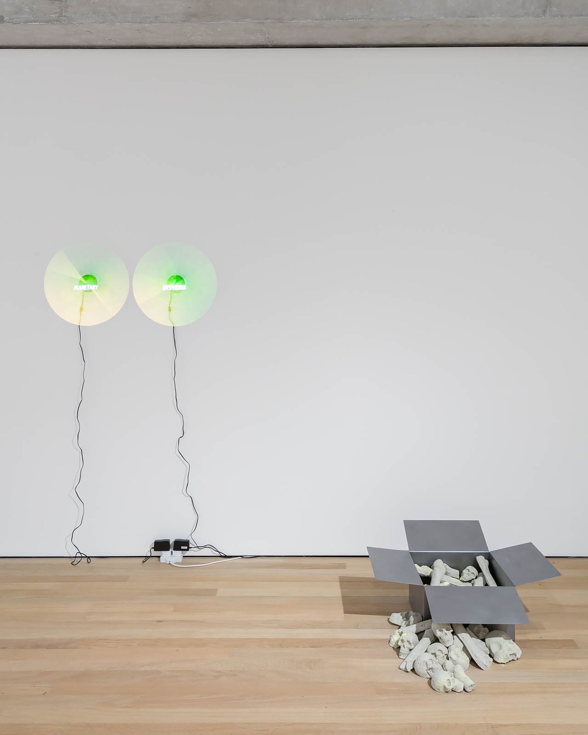 Installation view
