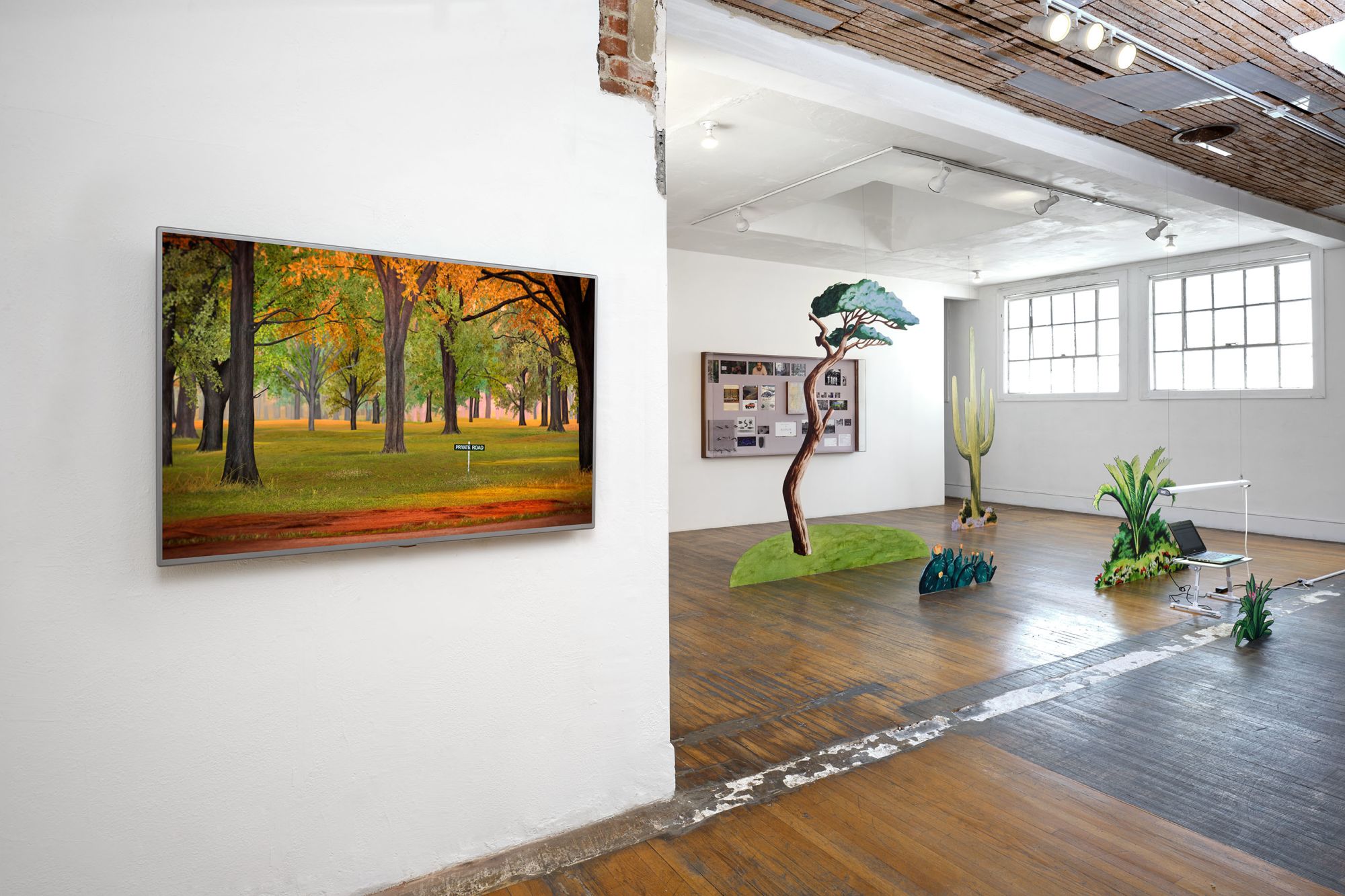 Installation view