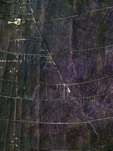 Kelly Cline, Untitled, detail