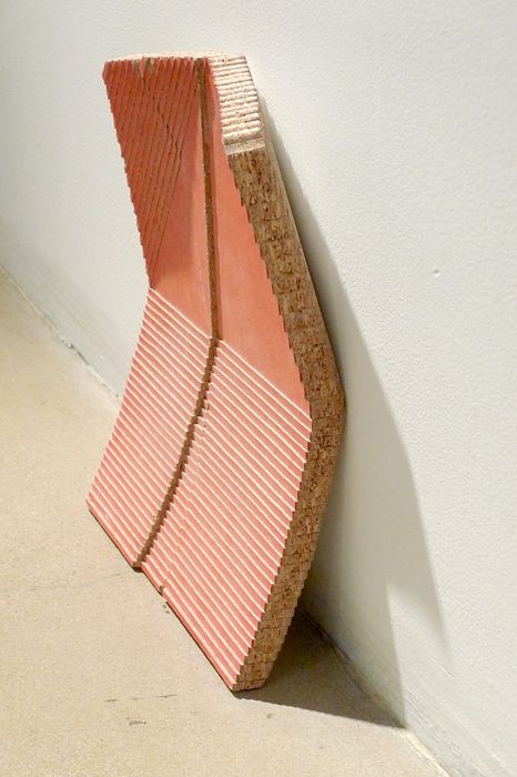 Kelly Cline