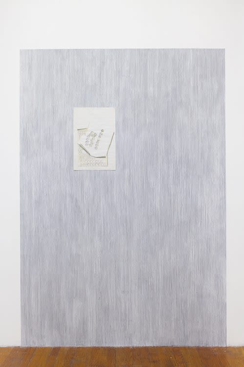 White violets, Installation view