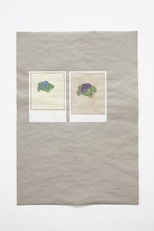 Two Bouquets