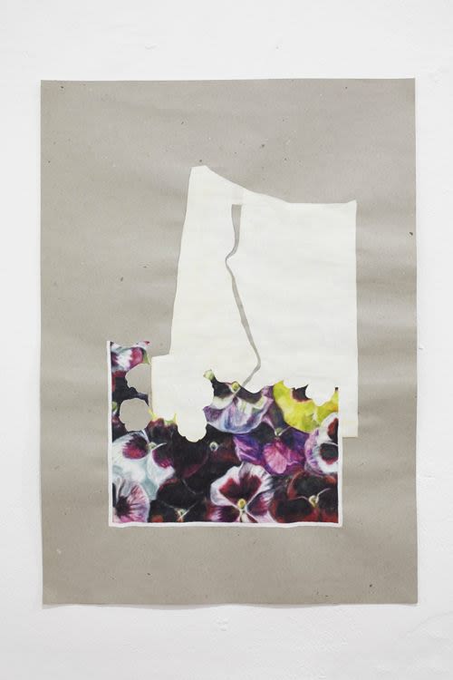Arrangement with pansies
