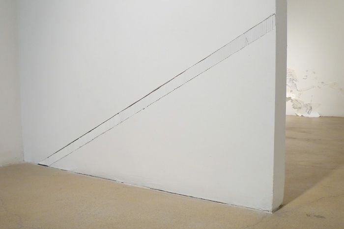 Kelly Cline