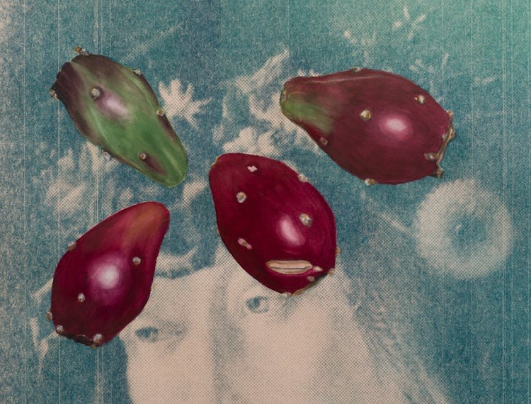 Melancholy Spring with Winter Fruits, detail