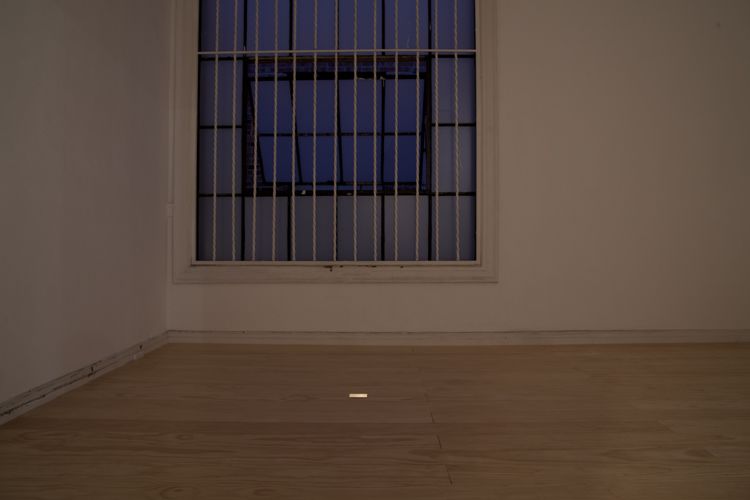 Installation view at dusk