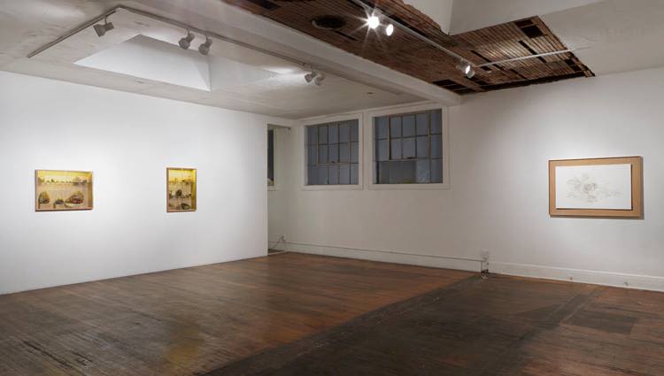 Installation view