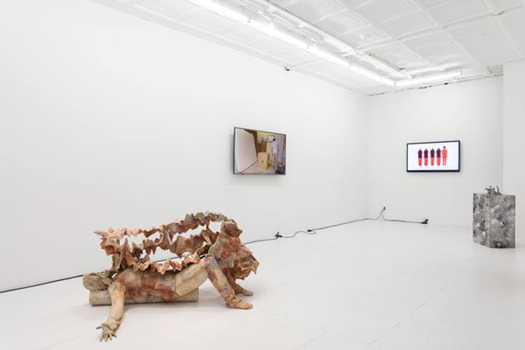 Installation view