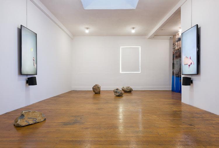 Installation view