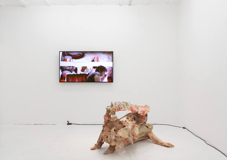 Installation view
