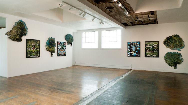 Installation view