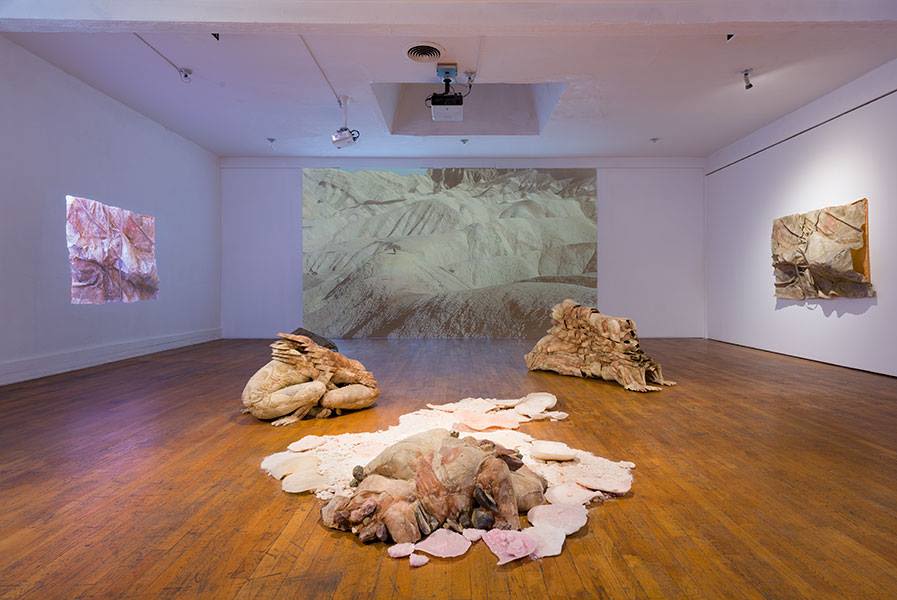 Installation view