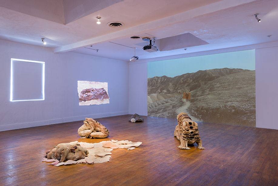 Installation view