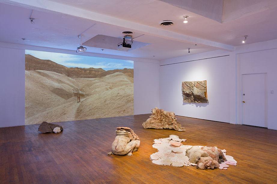 Installation view