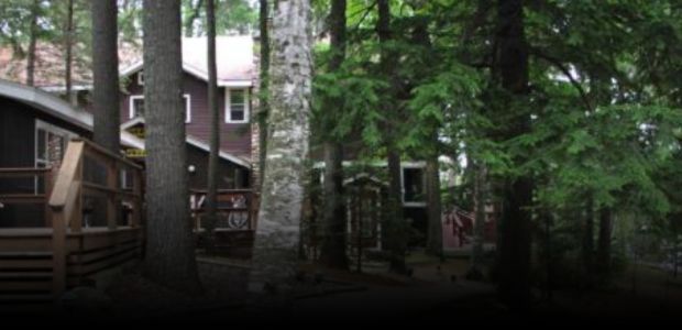 White Birch Village