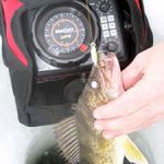 Sonar for Ice-Fishing