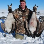 Fine Tuning Decoys Spreads for More Geese