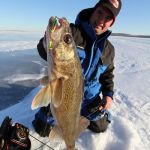 Pull Position Walleyes