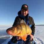 Bug Brained Perch at Late Ice