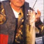 Spring Walleyes In Rivers