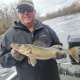 Wisc. River - Nekoosa (Walleyes) photo by walleyeguy007