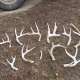 Antler Sheds photo by Nellyfishr