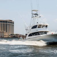 Business Card: Annie Girl Charters