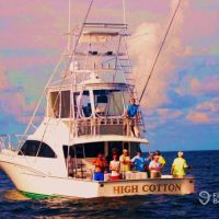 Business Card: High Cotton Charters