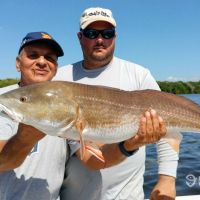 Florida Reels Fishing Charters - Apollo Beach