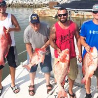 Business Card: Capt. Lynn's - Gulf Shores