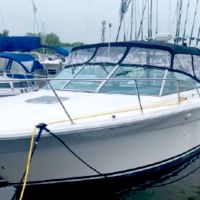 Business Card: Whitecap Charters  -  Charlevoix 31'