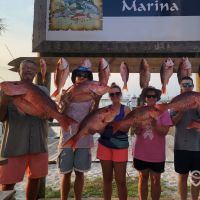 Business Card: Nauti Fish Co - Orange Beach