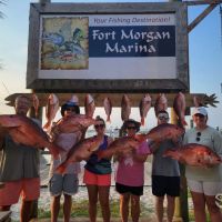 Business Card: Nauti Fish Co â?? Gulf Shores