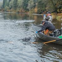 Business Card: Lance Fisher Fishing  -  Tillamook (Drift Boat)