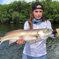 Bailey's Charters