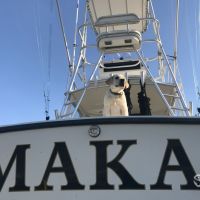 Business Card: Makai Charters