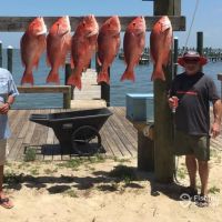 Business Card: Ricochet Charters