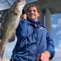 Let's Go Fishing