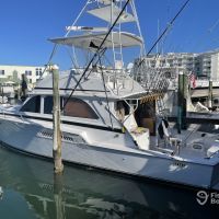 Eighty Charters