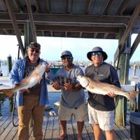 Business Card: Off The Hook Charters - Problem Child