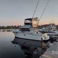 Business Card: Hammer Time Charters