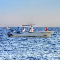 Business Card: Southport Fishing Charters