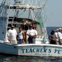 Business Card: Teacher's Pet Sport Fishing